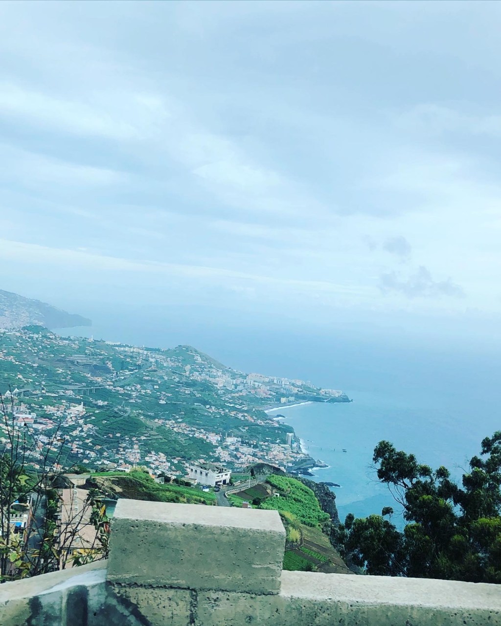 Short Poem: The Brakes